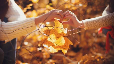Autumn love wallpaper