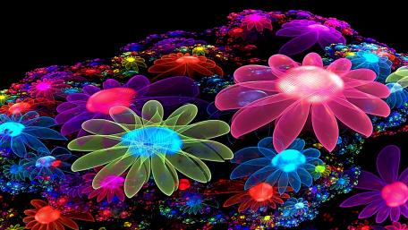 Glowing flowers wallpaper