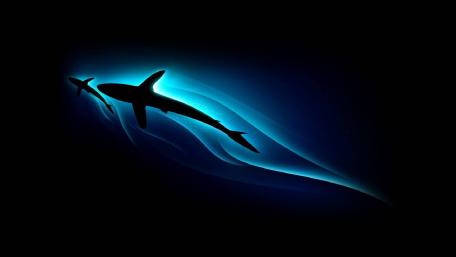 Shark silhouette wallpaper