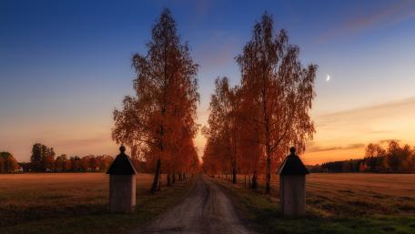 Beautiful autumn dawn scenery wallpaper