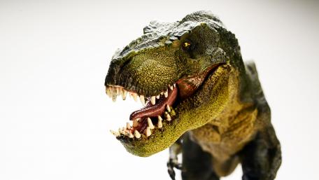 T REX wallpaper