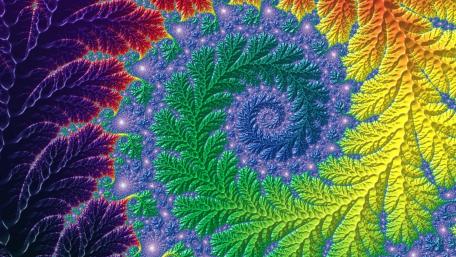 Multicolor fractal fern wallpaper