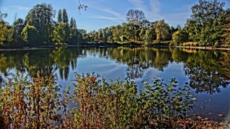 Wirtringen in the fall wallpaper