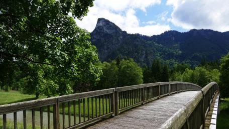 Boardwalk bridge wallpaper