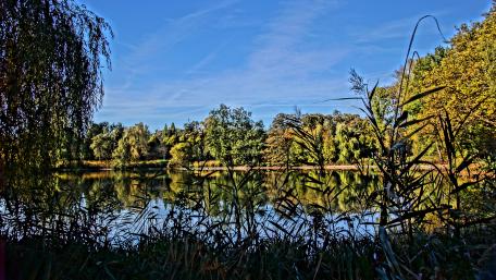 Wittringen lake at fall wallpaper