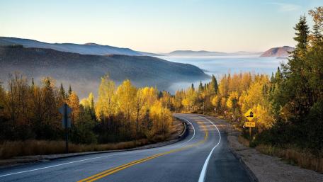 Foggy fall landscape wallpaper