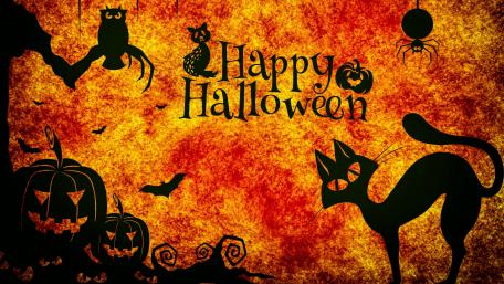 Halloween graphics wallpaper