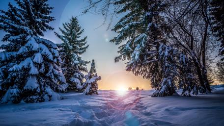 Winter sunlight wallpaper