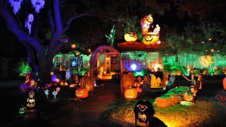 Halloween garden night wallpaper