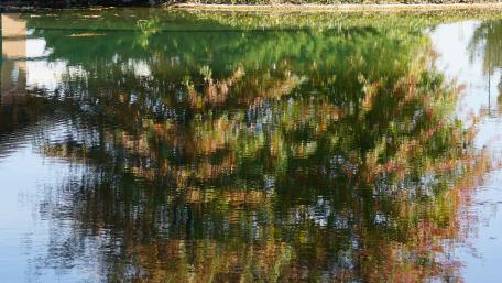Serene Reflections on Calm Water wallpaper