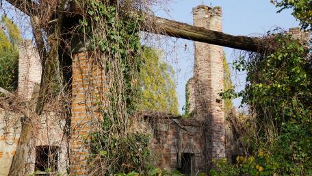 Abandoned Beauty of Nature's Reclamation wallpaper