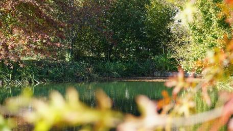 Tranquil Autumn Reflections in Nature wallpaper