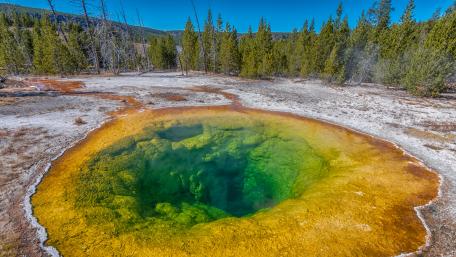 Morning Glory Pool (Yellowstone Upper Geyser Basin) wallpaper