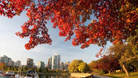 Vancouver at fall wallpaper