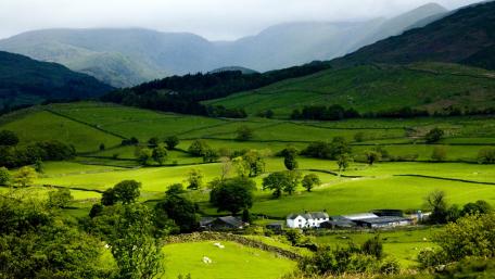 Green landscape wallpaper