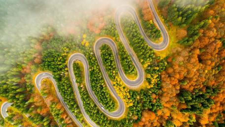 Winding road in the fall forest wallpaper