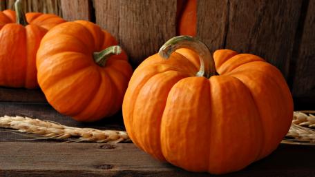 Pumpkins wallpaper