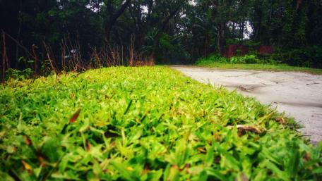 Village road wallpaper