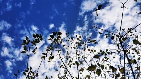 Blue sky with white clouds wallpaper