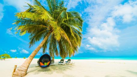 Tropical sandy beach in Maldives wallpaper