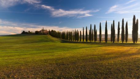 Cypress tree lane in Tuscany wallpaper