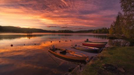 Serene Evening Reflections on the Lake wallpaper