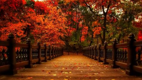 Bank Rock Bay at fall (Central Park, NY) wallpaper