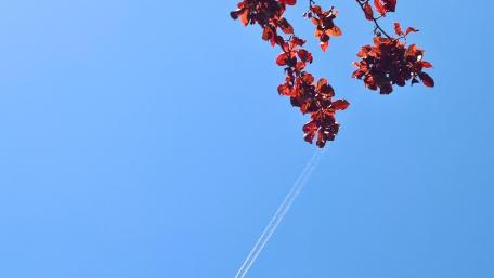 Sky wallpaper