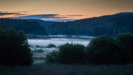 Swabian-Franconian Forest wallpaper