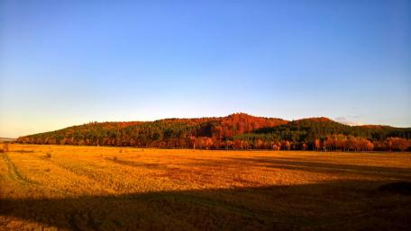 Autumn Serenity in Nature's Palette wallpaper