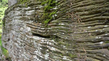 Textures of Nature's Ancient Layers wallpaper