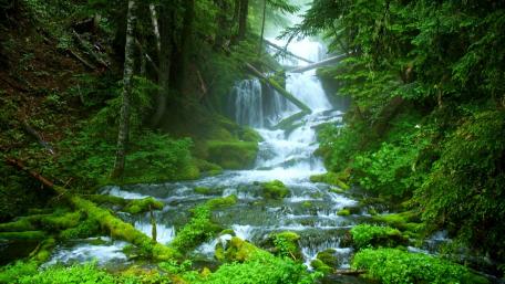 Green world wallpaper