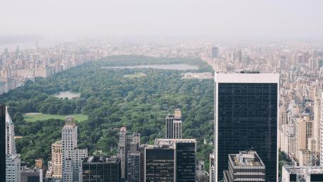 Central Park on a Foggy Day wallpaper