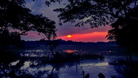 Sunset wallpaper