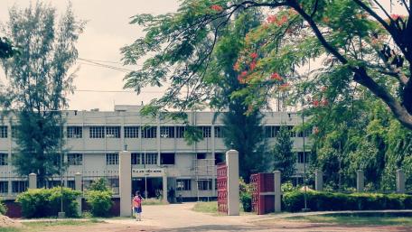 College Memories wallpaper