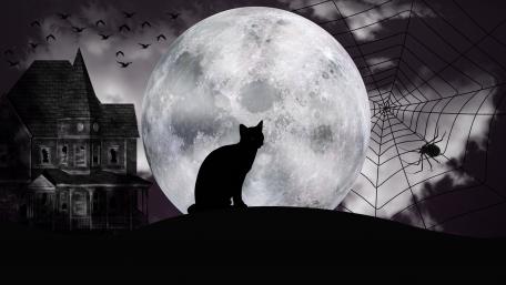 Black cat silhouette in the full moon wallpaper