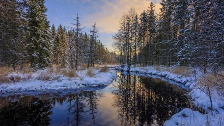 River in the snowy forest wallpaper