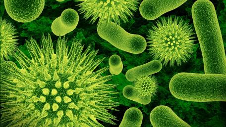 Bacteria and viruses wallpaper