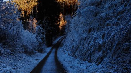 Hoary winter wallpaper