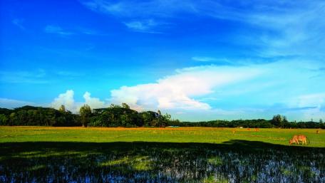 Countryside in Bangladesh wallpaper