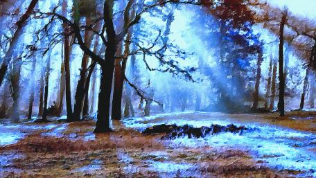 Sunlight in the forest painting art wallpaper