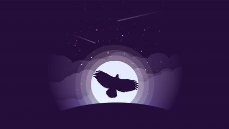 Eagle minimal art wallpaper