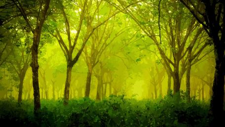 Camouflage forest wallpaper