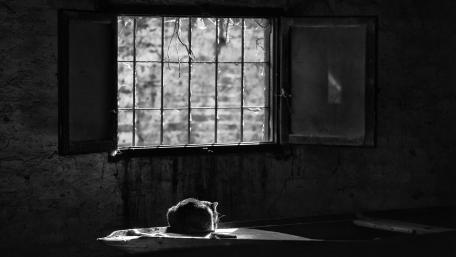 Silent Solitude of a Cat in Light and Shadow wallpaper