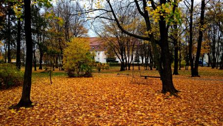 Autumn park wallpaper