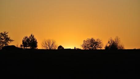 Evening Silhouettes Against an Orange Sky wallpaper