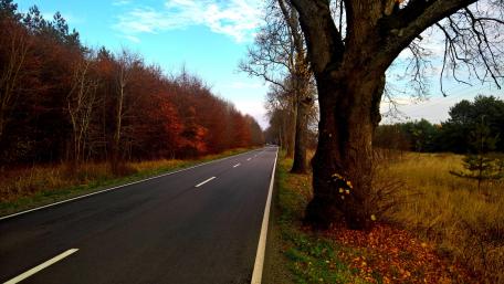 Scenic Autumn Roadway in Nature's Embrace wallpaper