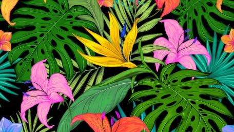 Flower drawing wallpaper