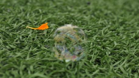 Nature's Tranquil Reflection in a Bubble on Green Grass wallpaper