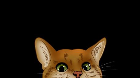 Peeping cat wallpaper